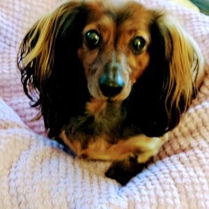 Meet your Posher, Tammy